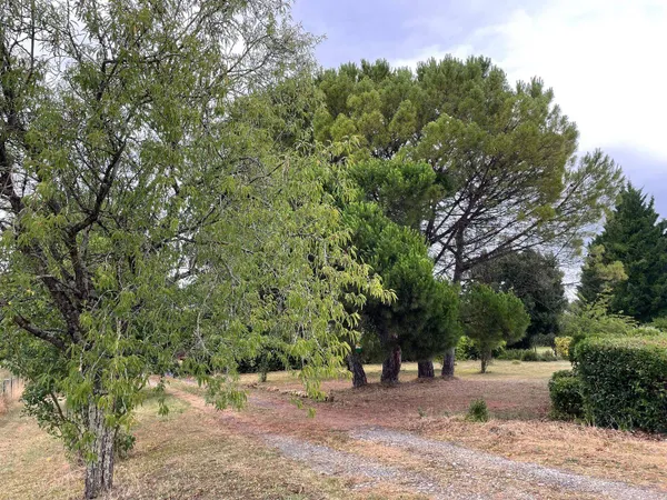 Maison 7 pièces 167 m²