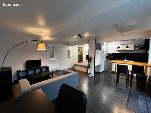 Studio Meublé 35m2 - Hypercentre | Rue Caponière