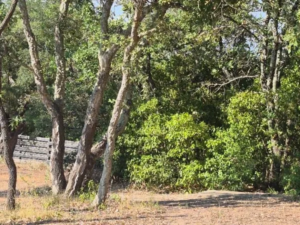 Terrain 1050 m²