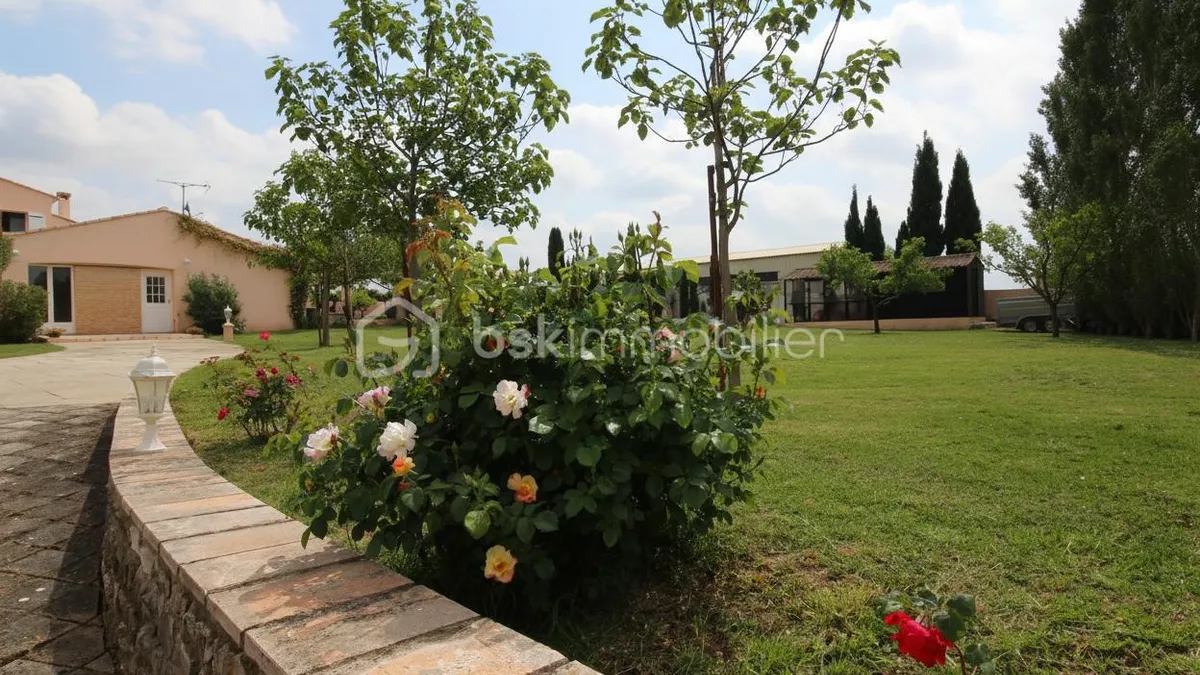 Photo 9