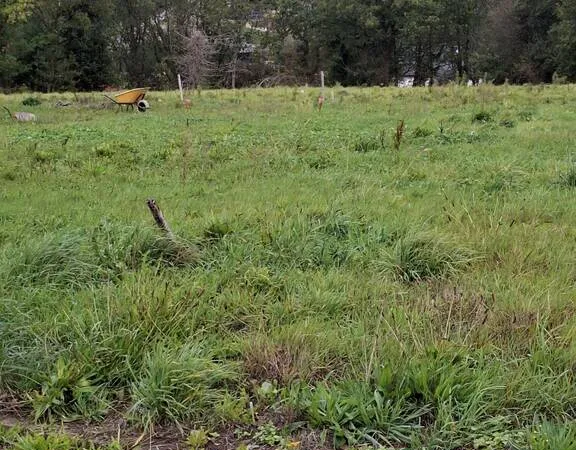 Terrain 561 m²