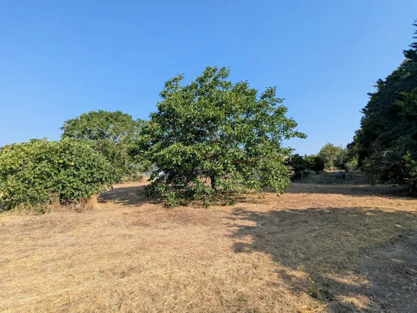 TERRAIN A BÂTIR - LIBRE DE CONSTRUCTEUR