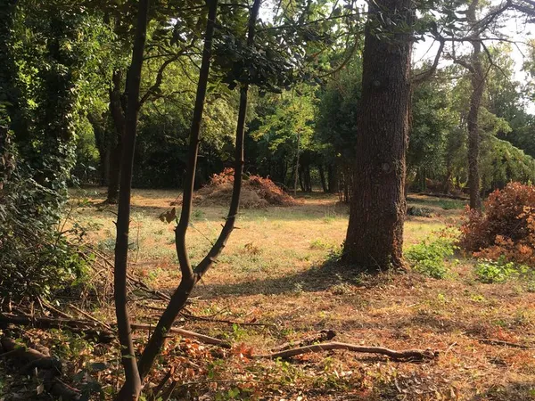 TERRAIN LOTI CENTRE de 30980 LANGLADE