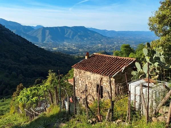 Maison (bergerie restaurée)