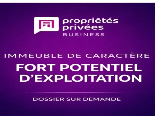 51100 REIMS - MURS A VENDRE HOTEL PARTICULIER