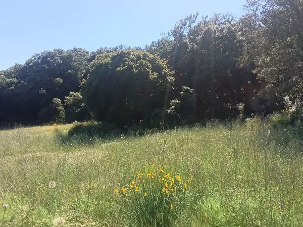 Terrain 1,2 ha en zone naturelle