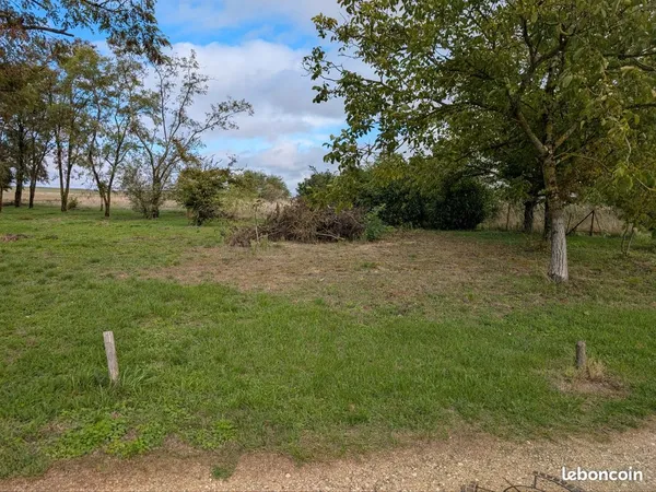 Terrain constructible