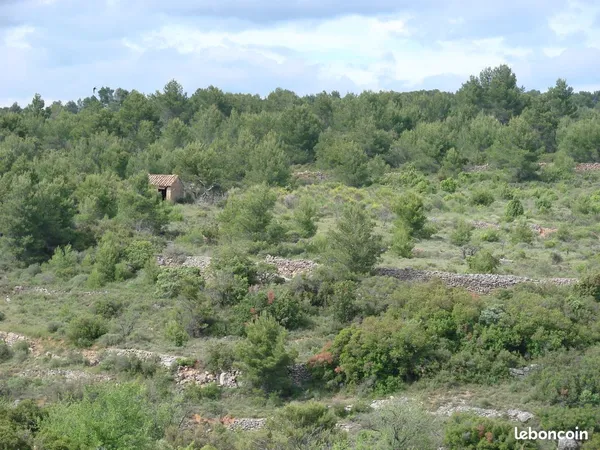 Terrain à PUISSERGUIER