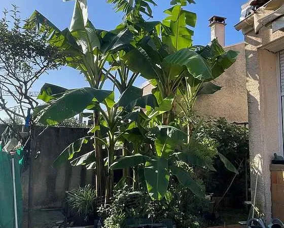 Maison 7 pièces 120 m²