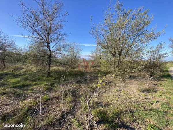 Terrain 2281 m² Ortaffa