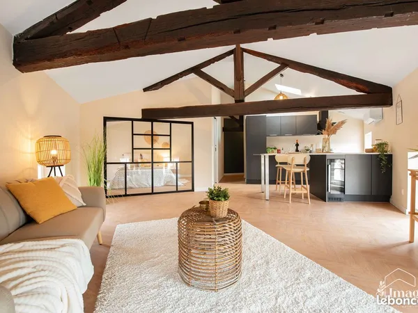 Appartement mansardé 2 pièces 47,34 m² - Emplacement prestigieux centre historique ALBI UNESCO