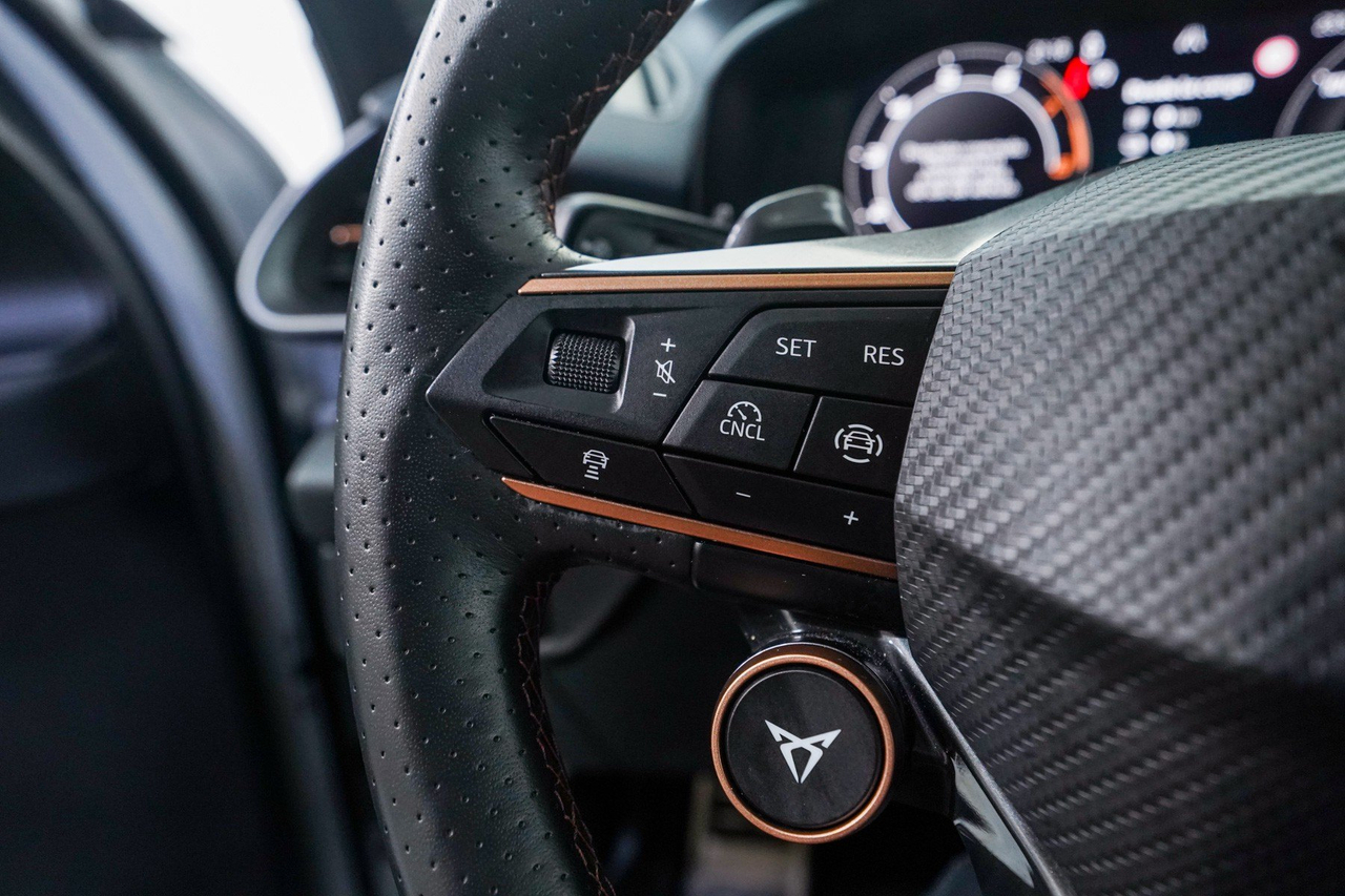 Cupra Terramar — photo 21