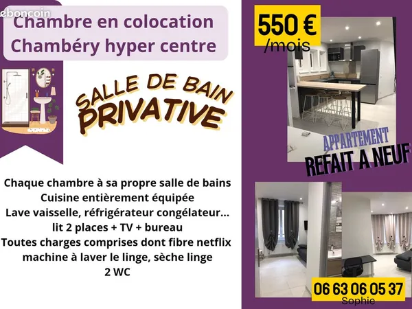 Chambre avec SDB privative dans Colocation "haut de gamme" Chambéry centre ville