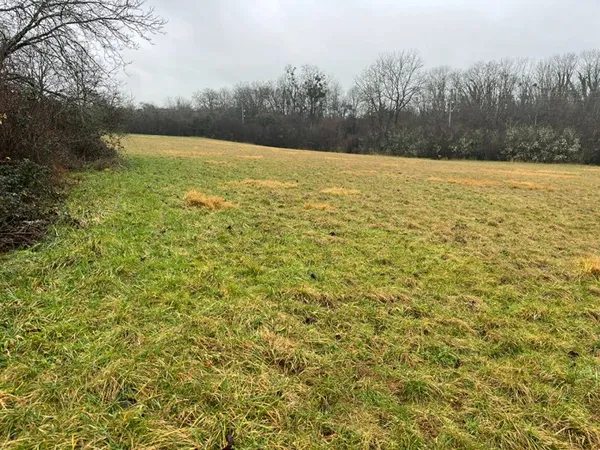 Terrain 5966 m²