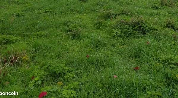 Terrain constructible à Saint-Médard-de-Guizières