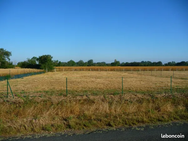 Terrain constructible