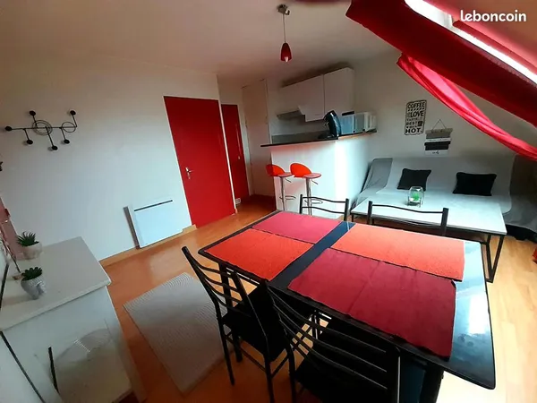 Appartement 1 pièce 20 m²