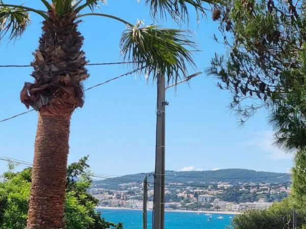 Vends appartement 37m²