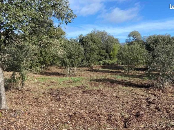 Terrain 1 165 m² Puget