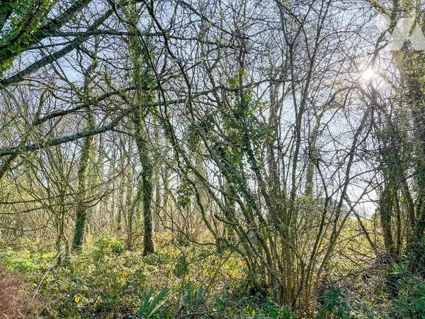 Terrain 1990 m²