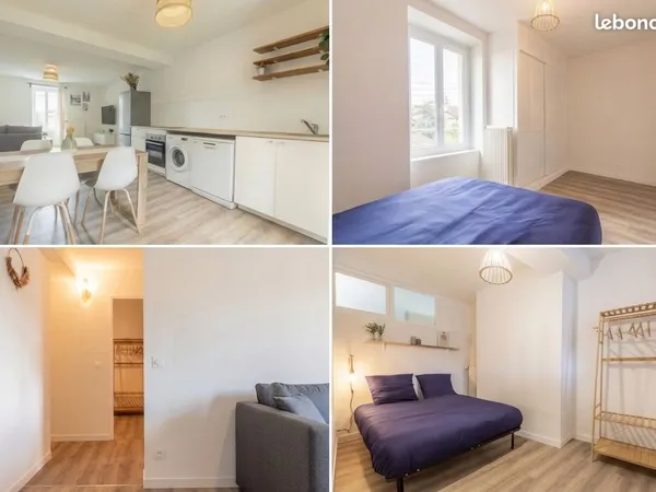 T3 meublé rénové - 2 chambres - Thiers - 550