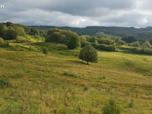 Terrain agricole