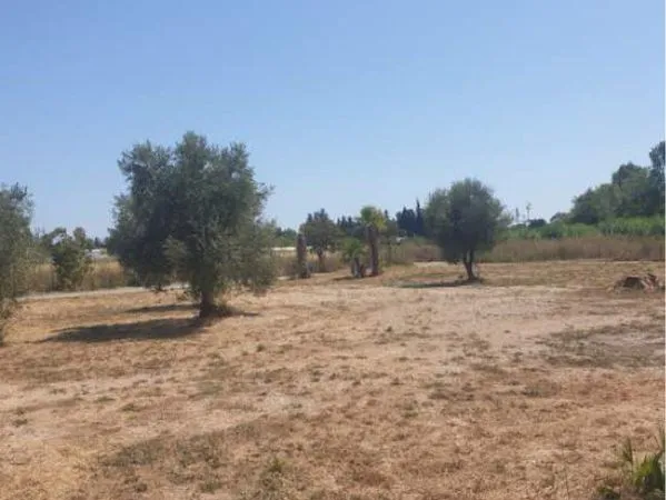 Location d'une parcelle de terrain Fréjus