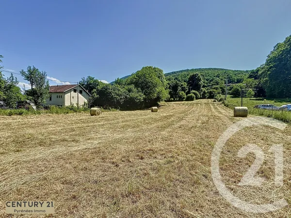 Terrain 3835 m²