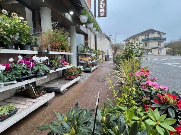 Cession de fonds fleuriste St-Rémy-lès-Chevreuse (78) pour cause de départ en retraite