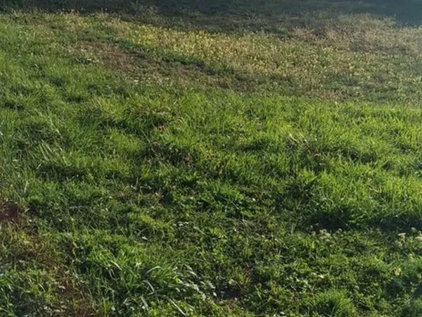 Terrain de 3890 m non constructible