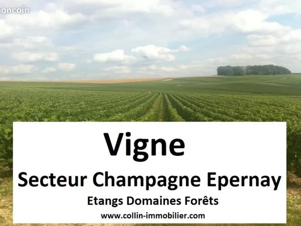 Terrain 50 m² Épernay