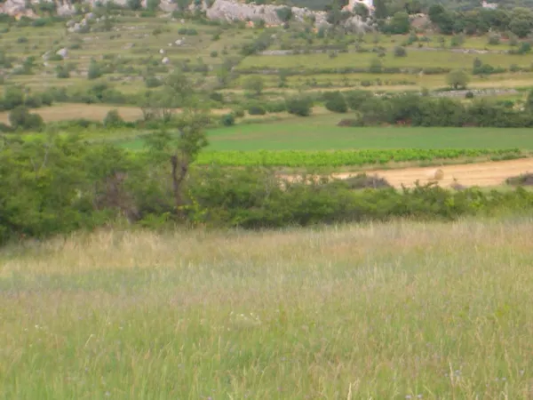 TERRAIN DE 9200M2 AVEC UNE RUINE DESSUS DE 80M2