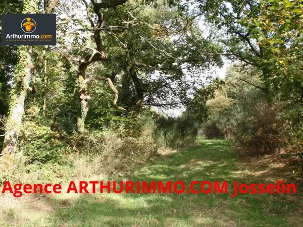 Terrain 273000 m²