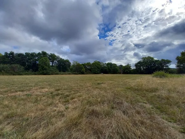Terrain 11095 m²