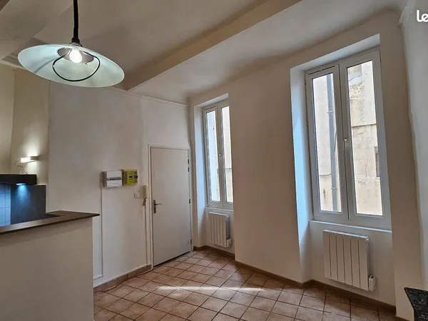 Grand Studio / T1 de 30m² lumineux rue piétonne