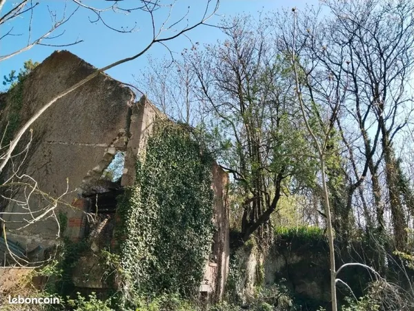 Joli terrain arboré