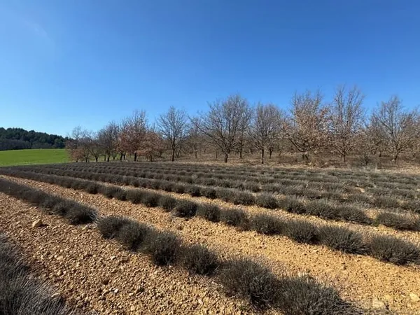Terrain 634 m²