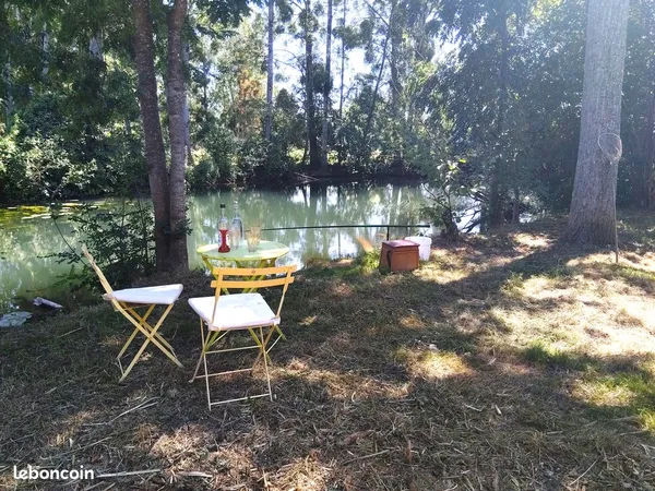 Terrain pêche - Bord de la Dive de Couhé 🎣