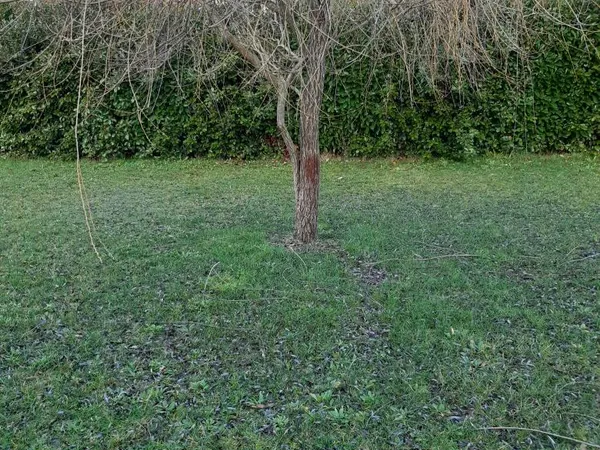 Terrain viabilisé 1300 m2
