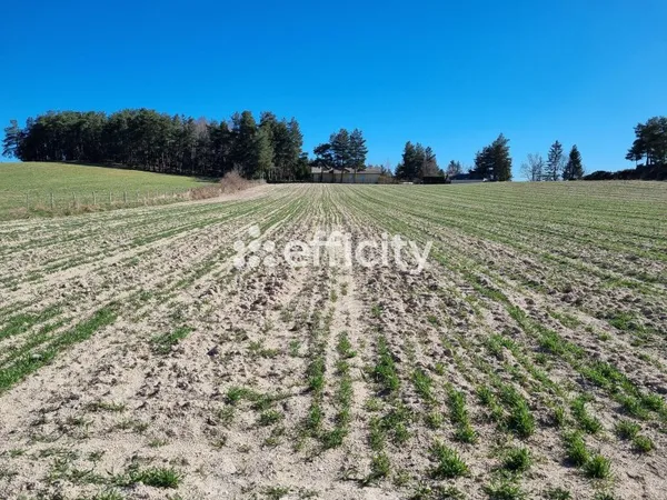 Terrain 2894 m²
