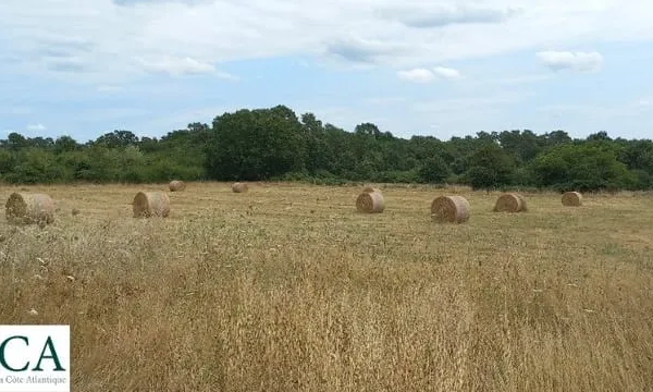 Terrain 1400 m²