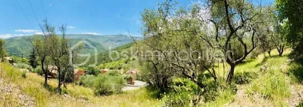 Terrain 3077 m²