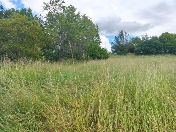 Terrain 561 m²