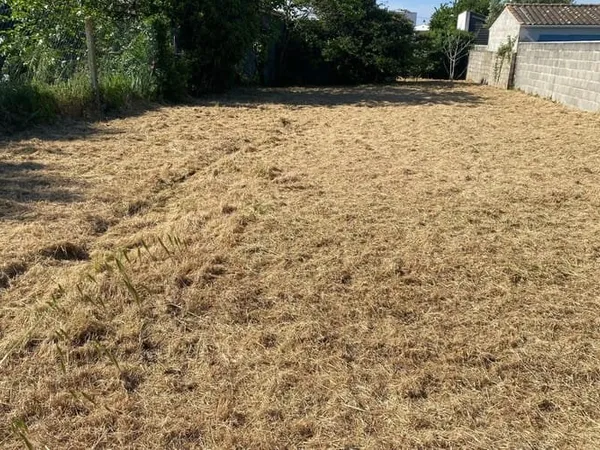 Terrain 388 m²