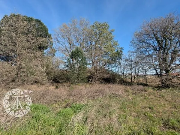 Parcelle agricole boisée, au coeur d'un environnement authen