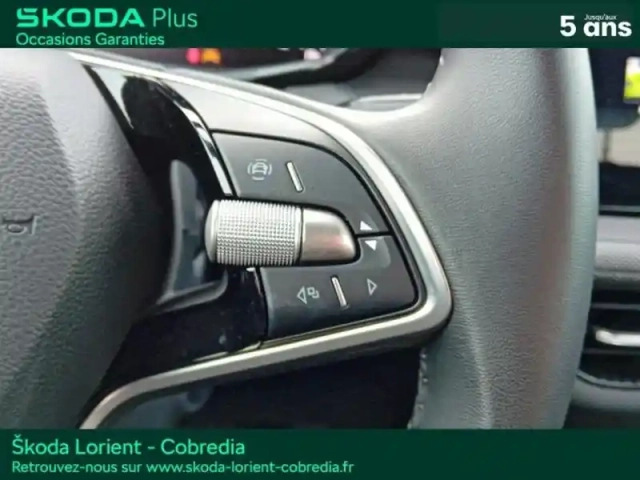Skoda Fabia 1.0 tsi evo2 116ch selection dsg7 — photo 14
