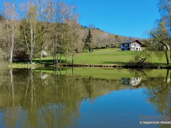 Maison à vendre avec étang
