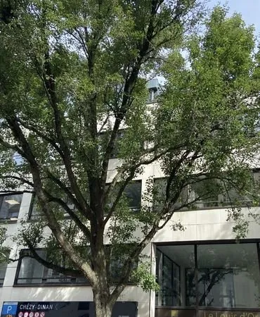 Bureaux 70 m² Rennes