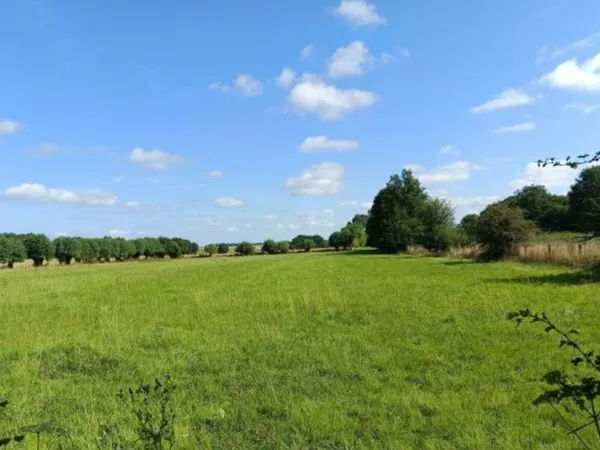 Terrain 1150 m²