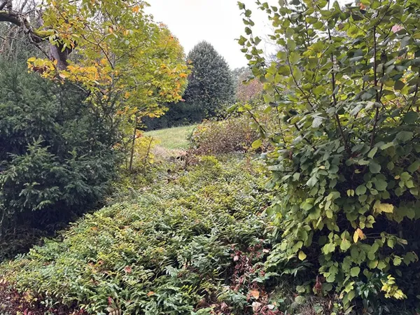 Terrain en individuel 800 m²